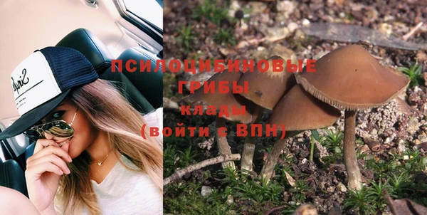 a pvp Зеленокумск