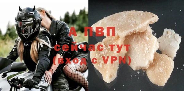 a pvp Зеленокумск