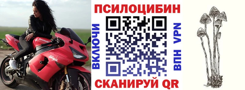 Псилоцибиновые грибы ЛСД  Купить  Почеп 